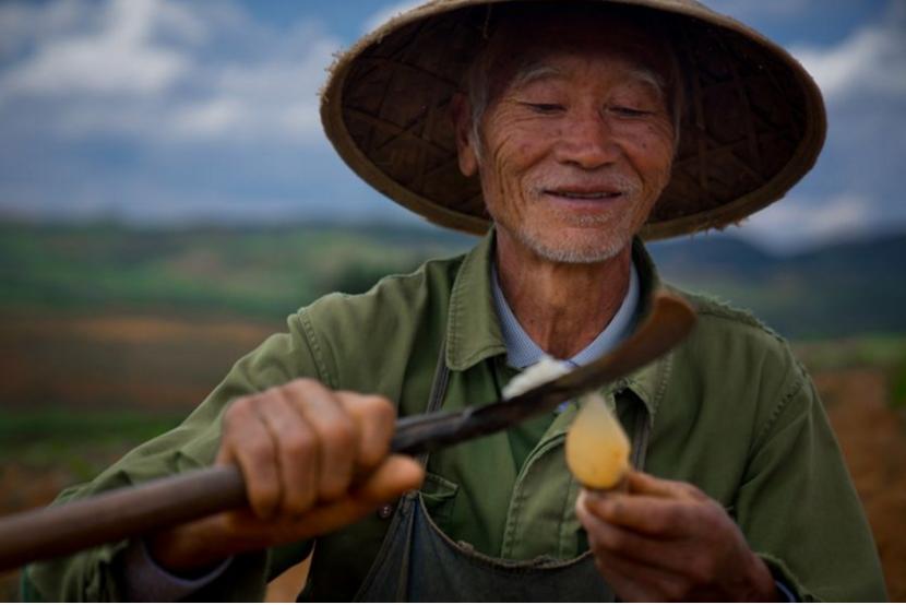 拼多多为什么还能占有一席之地,拼多多为何3年用户达到了六亿