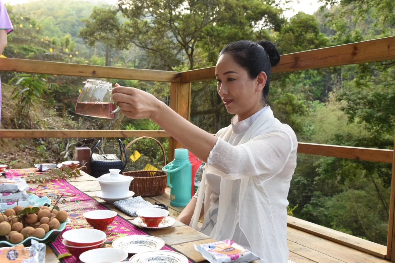 调研联盟,联合调研乡村振兴