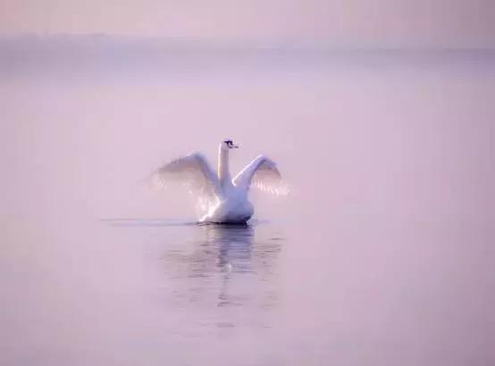 教你一招游泳省力方法,游泳技巧怎样游得快