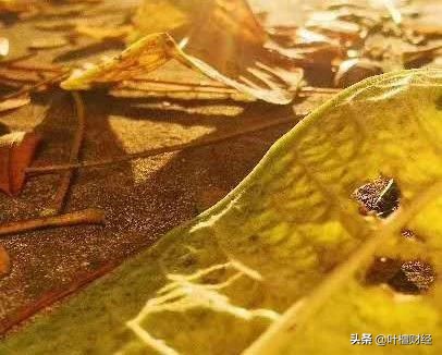 爆雷的股票有哪些,爆雷股一览