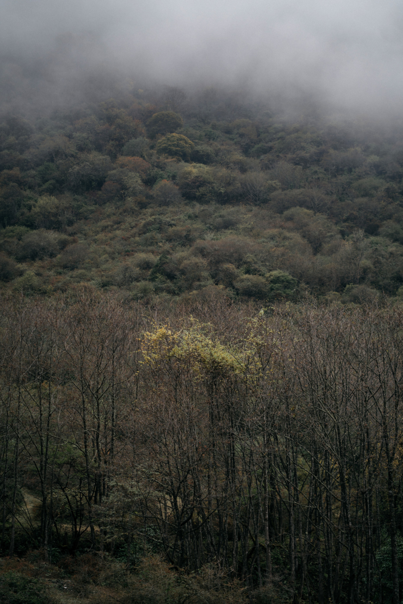 我们带上婚纱，去与世隔绝的山中办了一场绝世婚礼