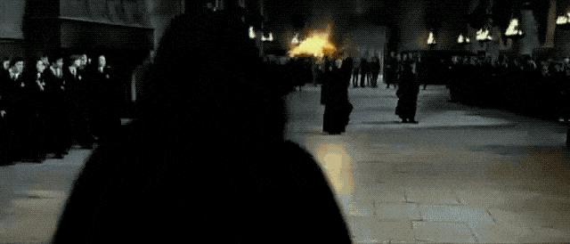 哈利波特四十岁生日的样子,哈利波特十九年后