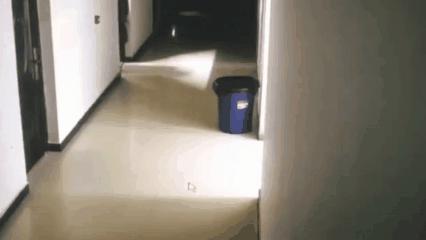 没钱盖房解决办法,没钱建房咋办