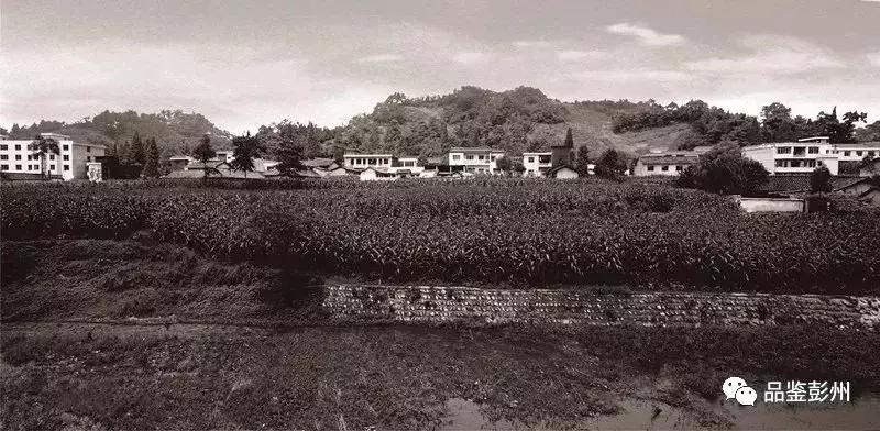 走遍中国的“寻鞋哥”来了！这回居然换上“军乐造”