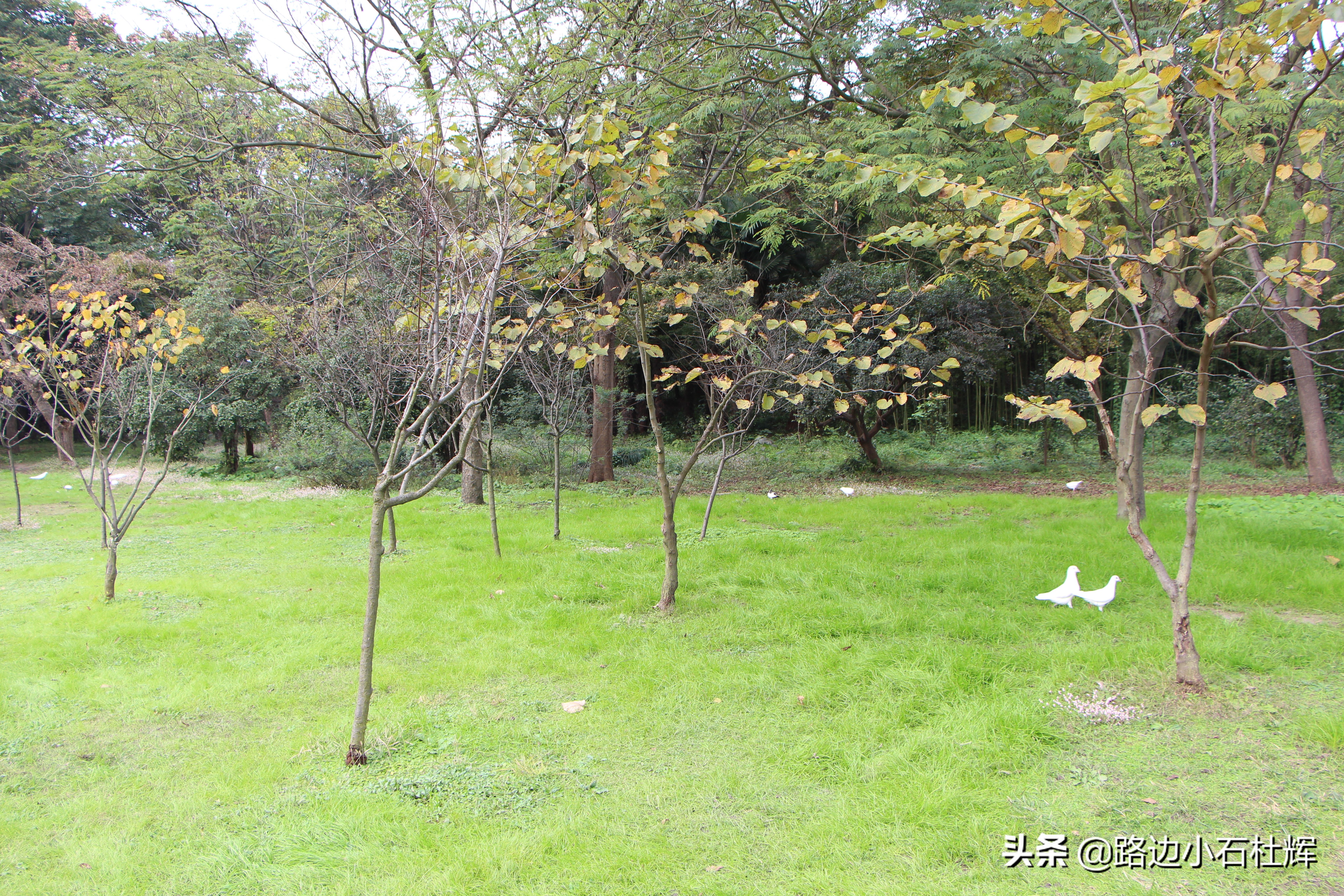 扬州瘦西湖之行,扬州瘦西湖游一圈