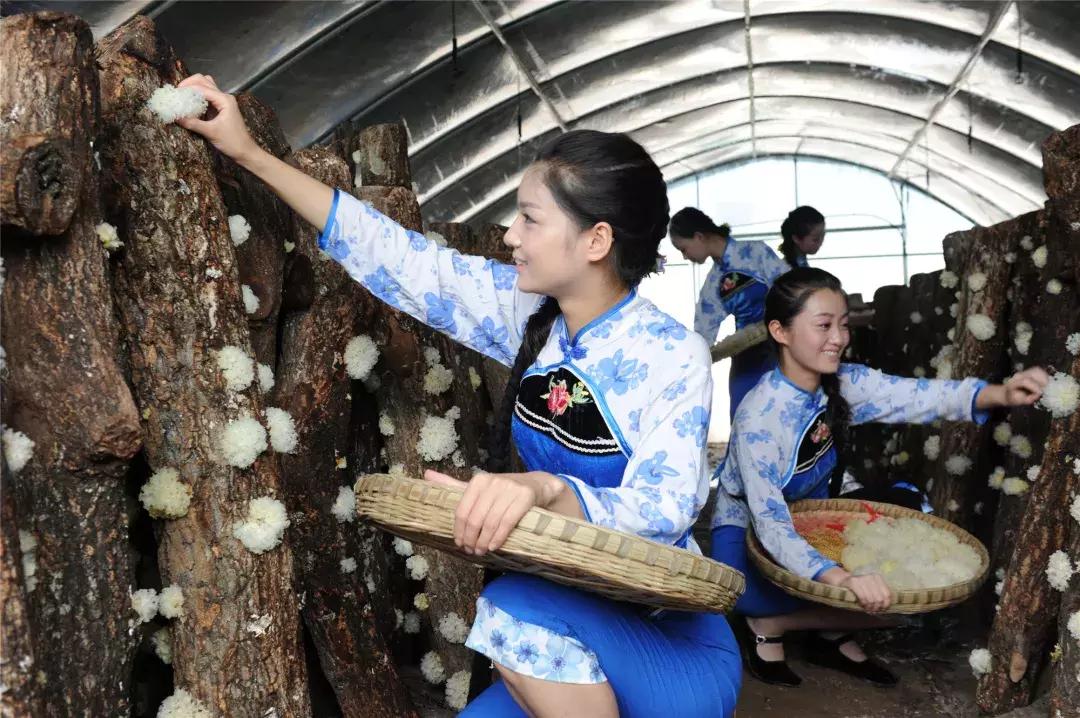 4天,在通江能做些什么?