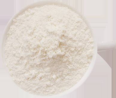 宠物猫如何照顾新生的小奶猫,没断脐带的小奶猫怎么照顾