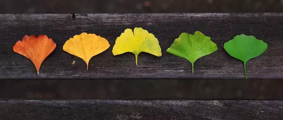 春季为什么易发精神疾病,季节性抑郁症的原因有几种