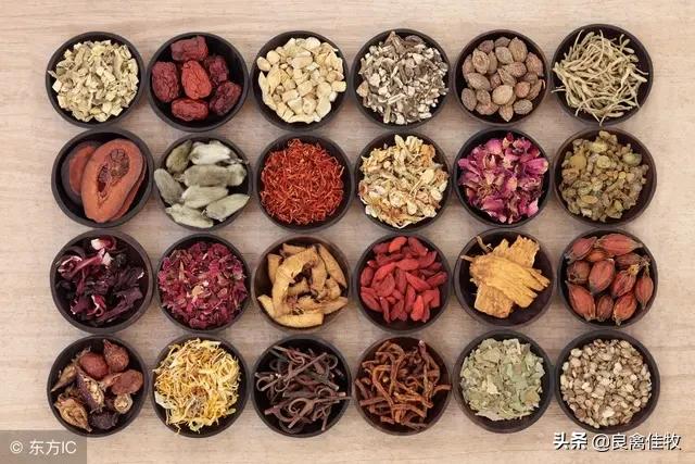 产蛋鸡新城疫流感抗体标准,鸡新城疫病毒怎么治疗