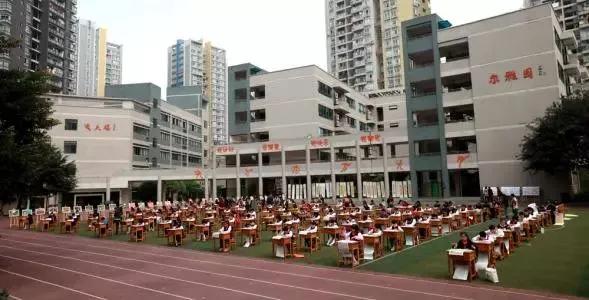 重庆树人小学分校有哪些,重庆树人小学毕业上哪些中学