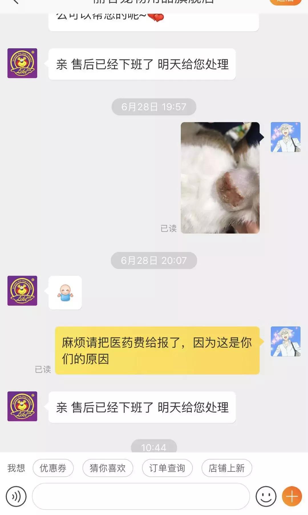 我亲手给猫戴的某款驱虫项圈，差点要了猫的命