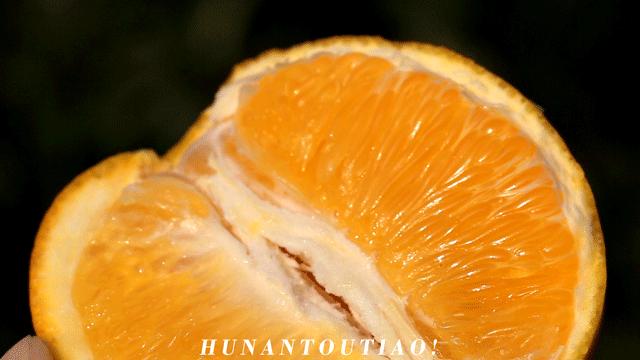 超爽福利暴击！高山神秘“金疙瘩”,甜蜜你的冬天