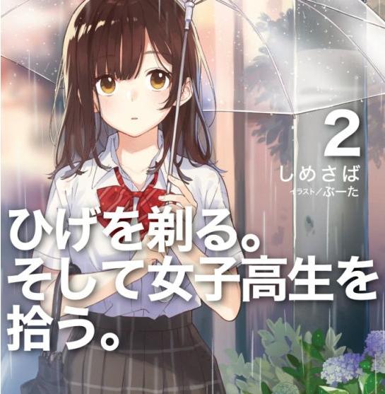 大神天野喜孝的作品,天野喜孝动漫