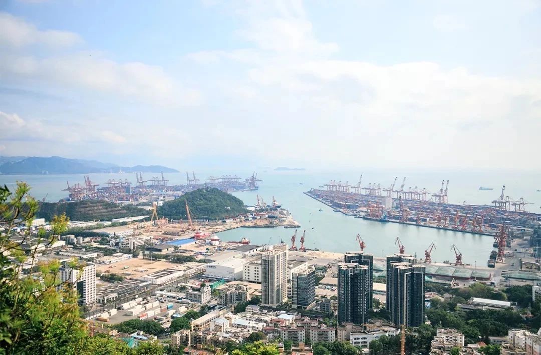 深圳周末带孩子免费游玩好去处,2021深圳免费适合遛娃玩地方排名