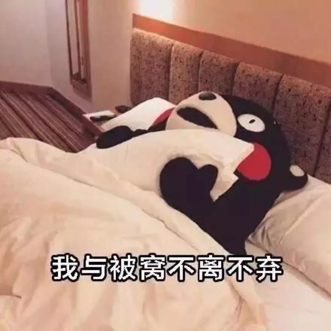 12月游戏推荐|活久见！这足球游戏居然让挖掘机来当守门员