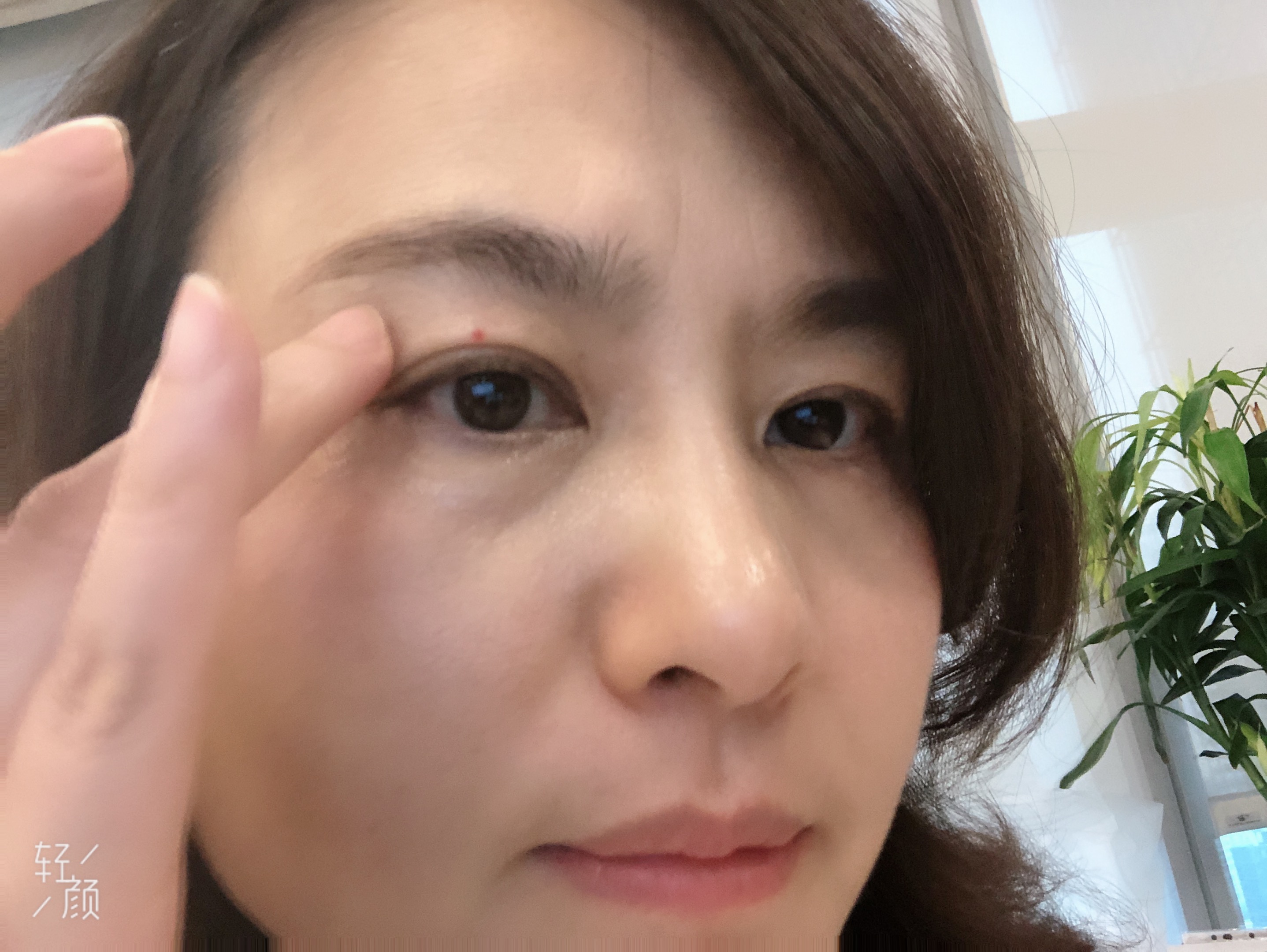 雅诗兰黛小棕瓶兰蔻小黑瓶眼霜,雅诗兰黛小棕瓶眼霜多少钱一瓶