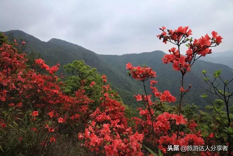 户外徒步广州一日游推荐,广州最美徒步登山经典路线