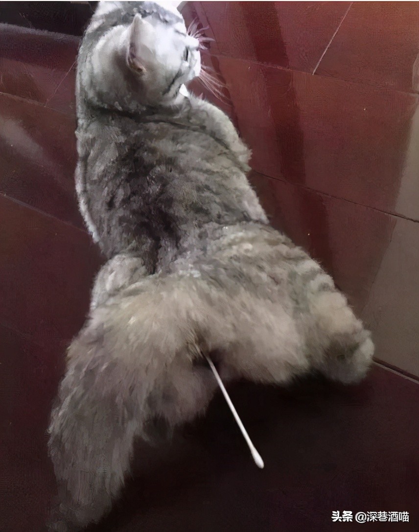 鍘荤埅鎵嬫湳瀵圭尗鏈夊澶х殑浼ゅ,妫夌澶ф硶鍚庡彲浠ョ粷鑲插悧