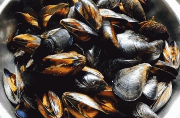 又是一年吃螃蟹的时候,又是一年吃蟹好时节