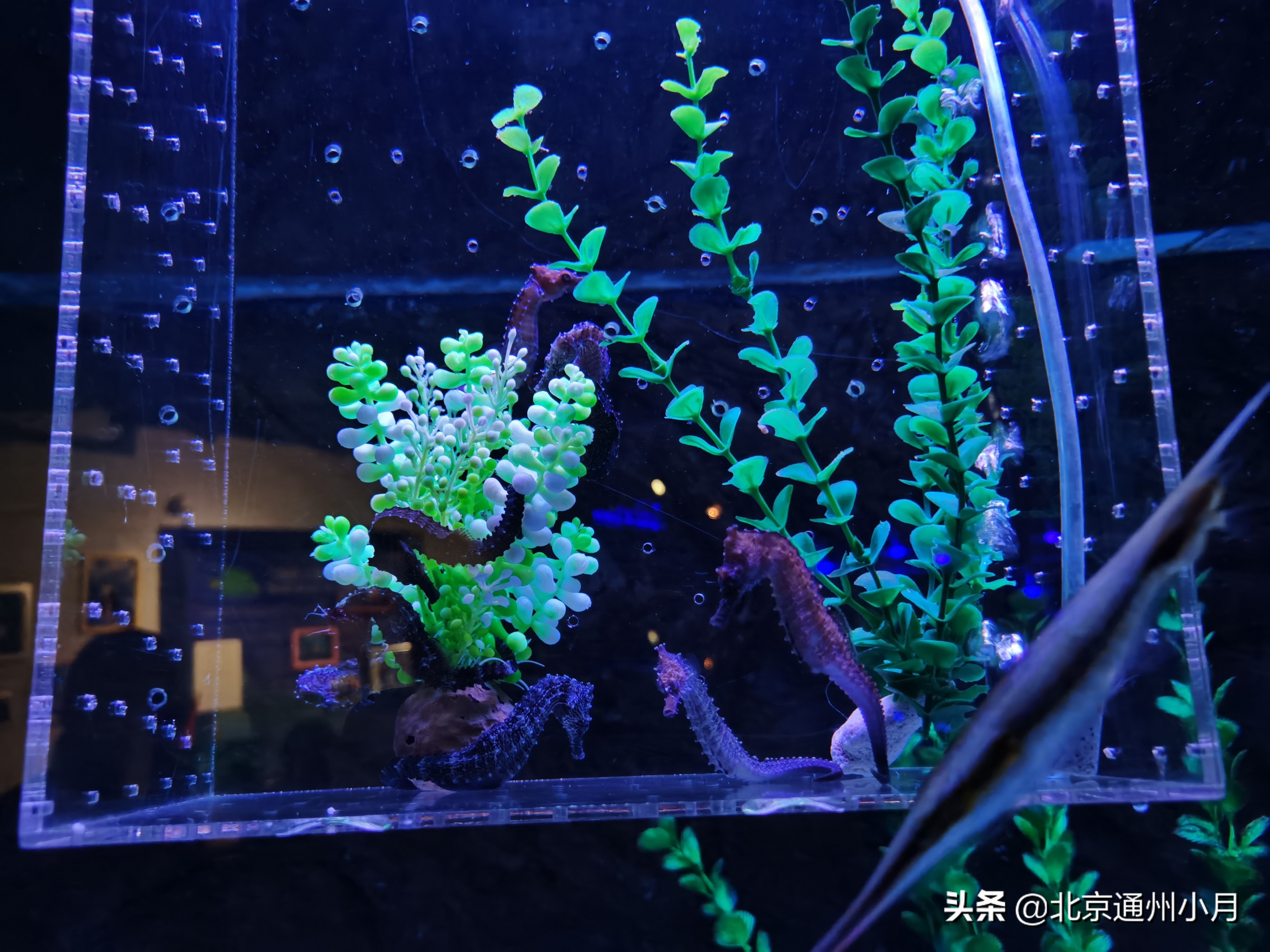 值得去看的海底世界,北京市海底世界门票多少钱