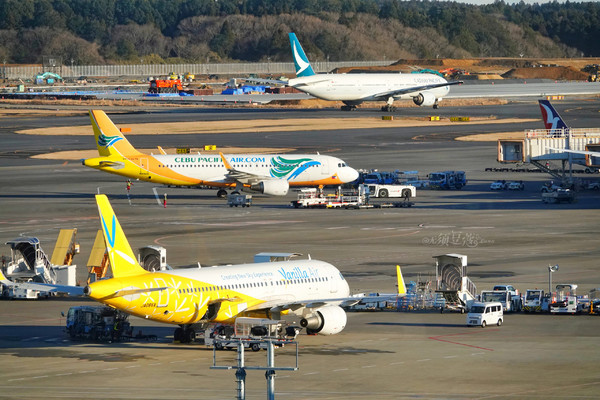 冬日乐趣排行,东京冬季旅游攻略一日游