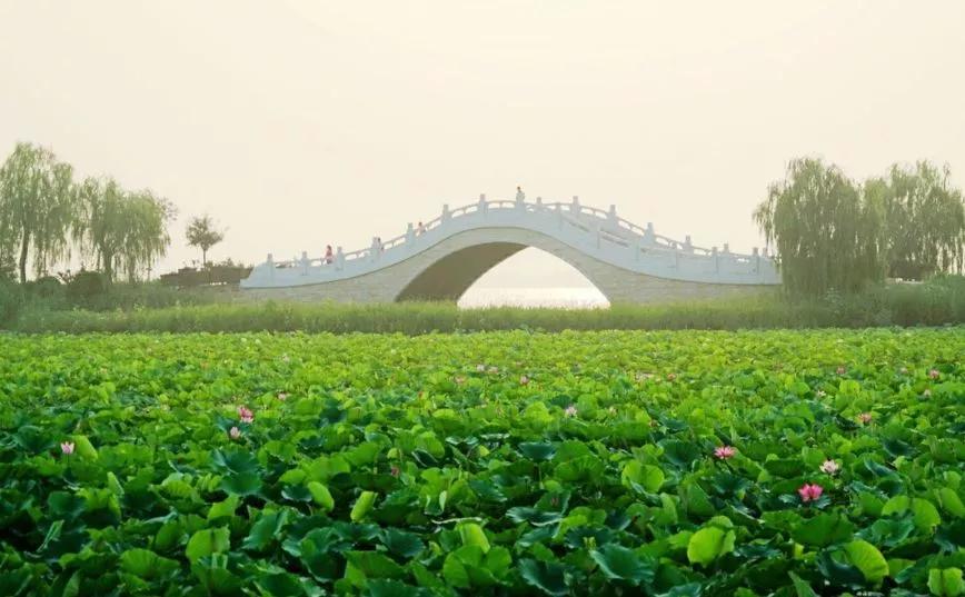 天津游玩攻略小众景点大全,天津免费景点游玩攻略大全