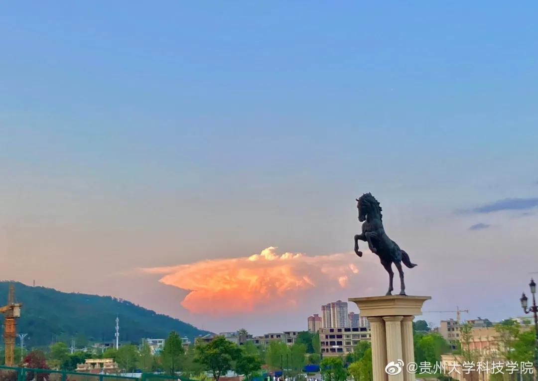 贵州黔南科技学院直播,贵州黔南科技学院微校园