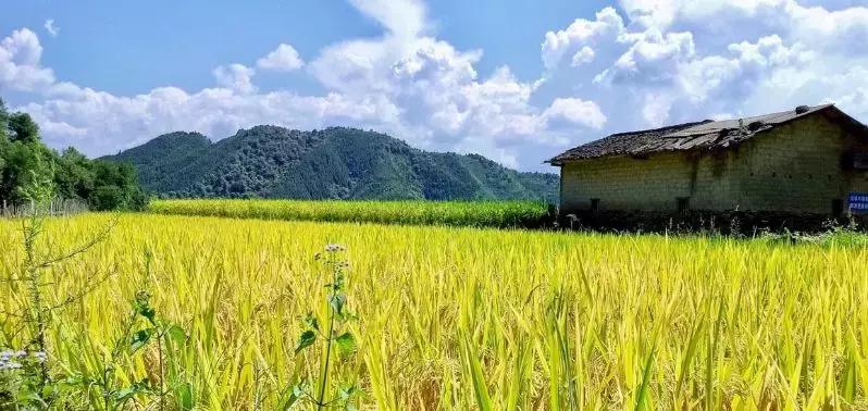 无论你是在哪一个季节来连州，连州都美如一幅画！