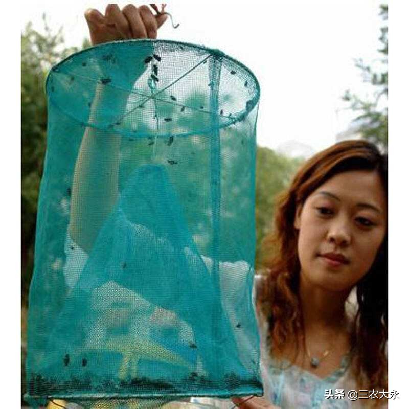 养殖场苍蝇怎么消灭最有效,养殖场苍蝇多用什么方法消灭