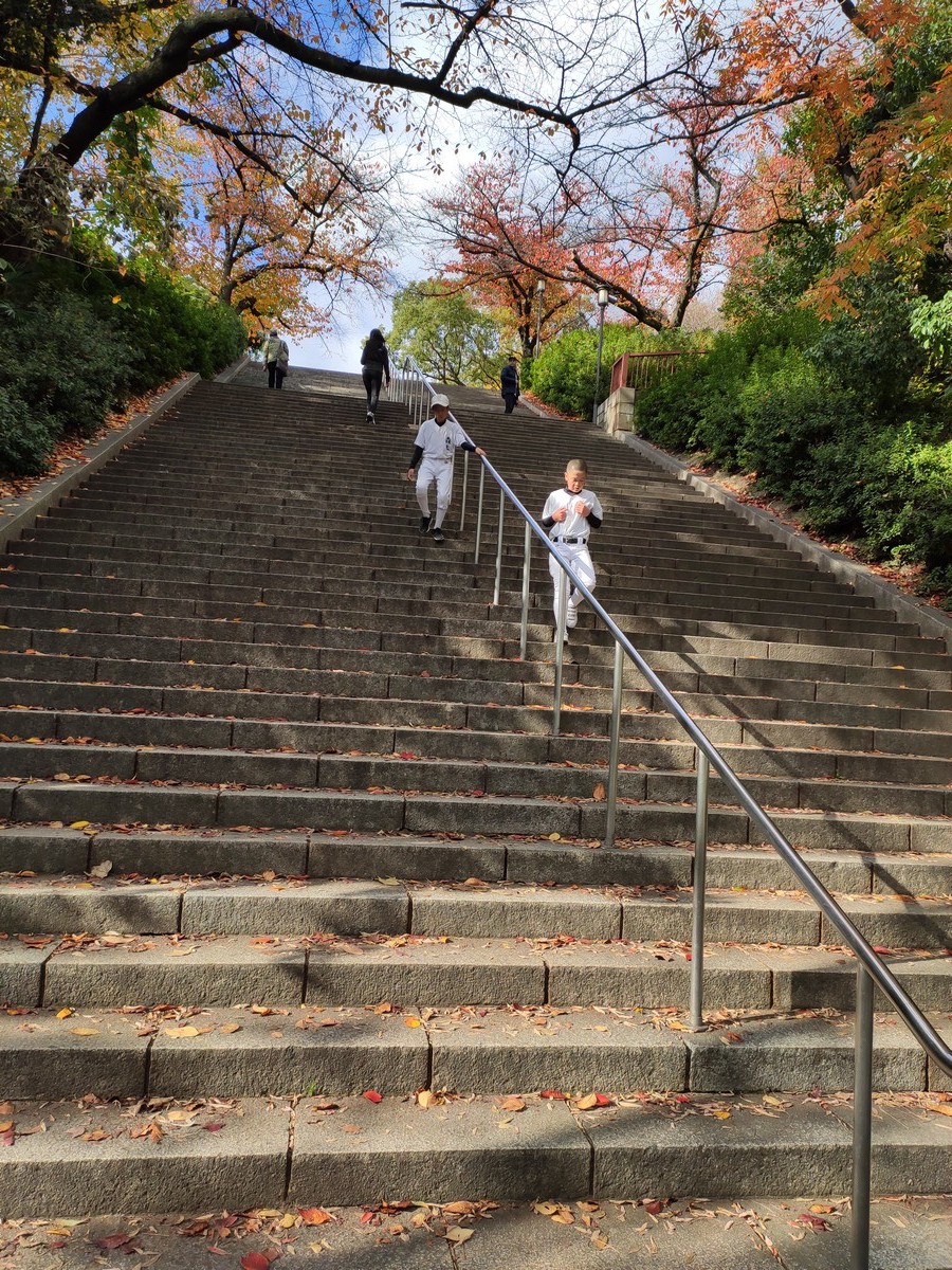日本大阪马拉松,日本大阪马拉松赛道难度