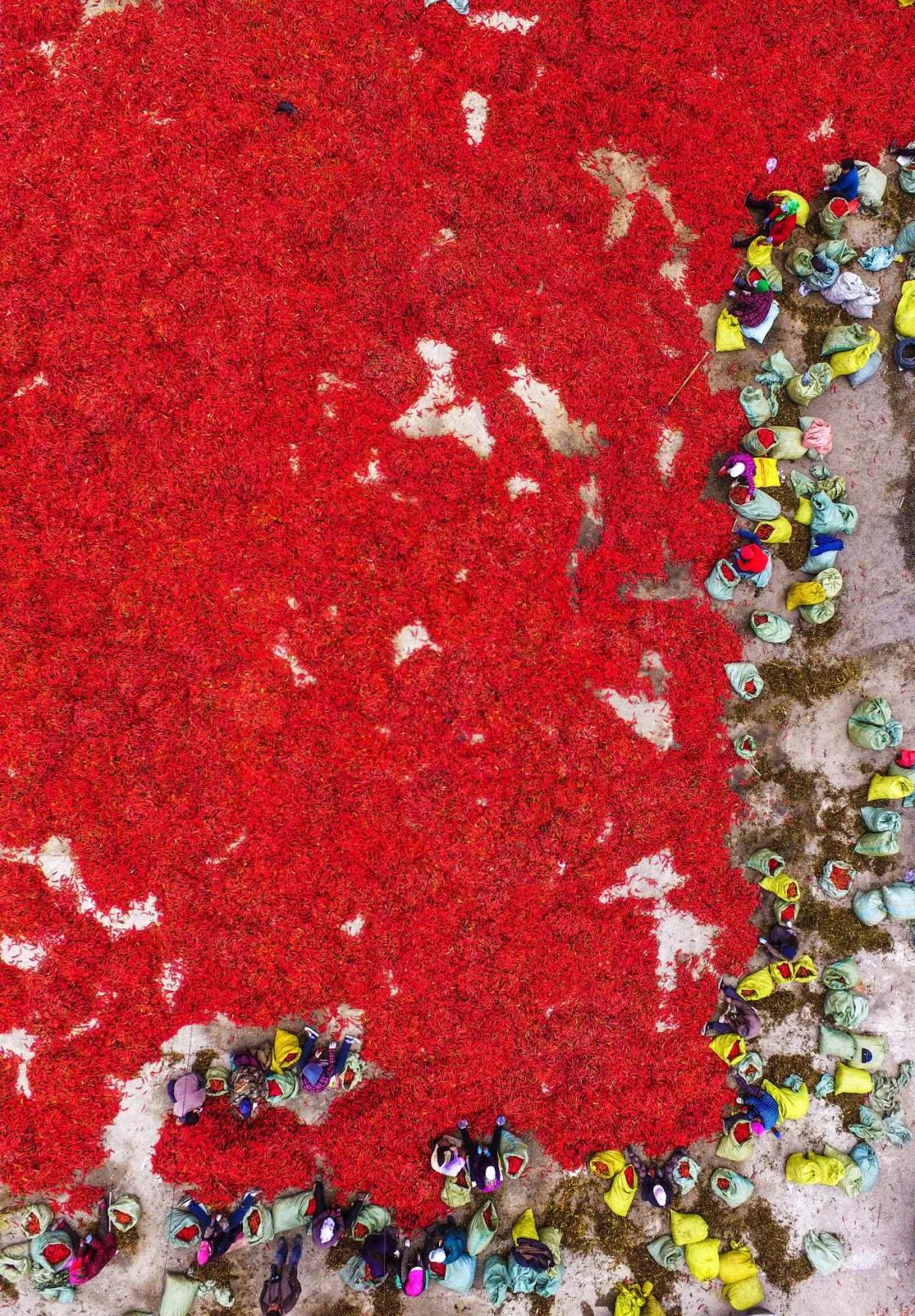 南北相济，中国580多个“菜篮子”是如何炼成的？