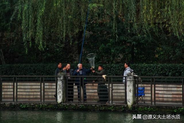 在冬天里看遵义湘江河上的秋色