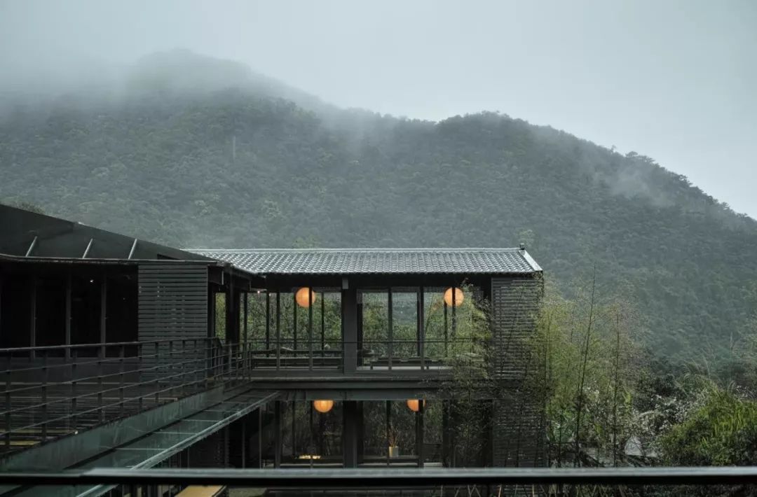 广东人最喜欢滋补养生为什么,广东人吃什么最补身子