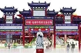 中药材天地网官网价格查询,中药材金银花最新价格行情