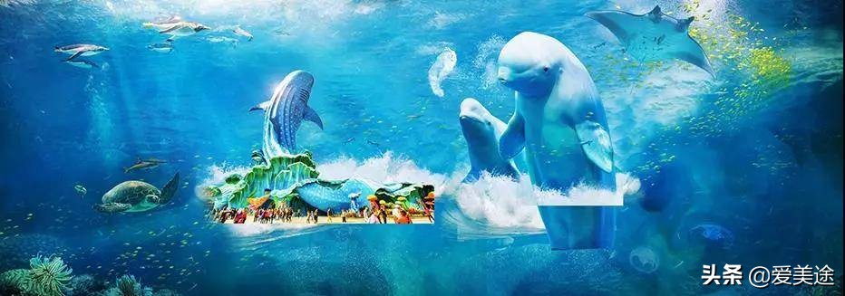 珠海长隆旅游公寓,珠海横琴长隆旅游度假公寓门票