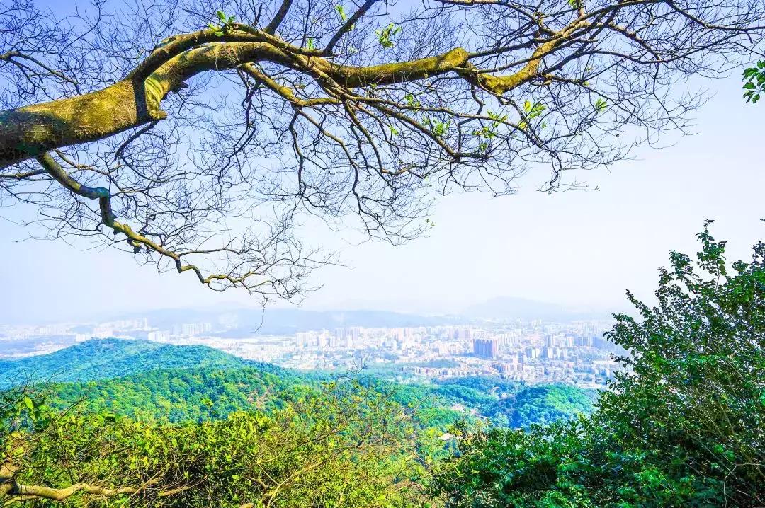 广州白云山什么时候开始改造,广州白云山现在能开上去吗