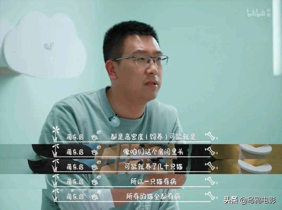 b站必看的综艺,b站能看的综艺推荐