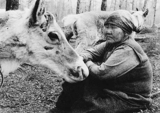 顾桃纪录片猎人,顾桃纪录片完整版去哪看