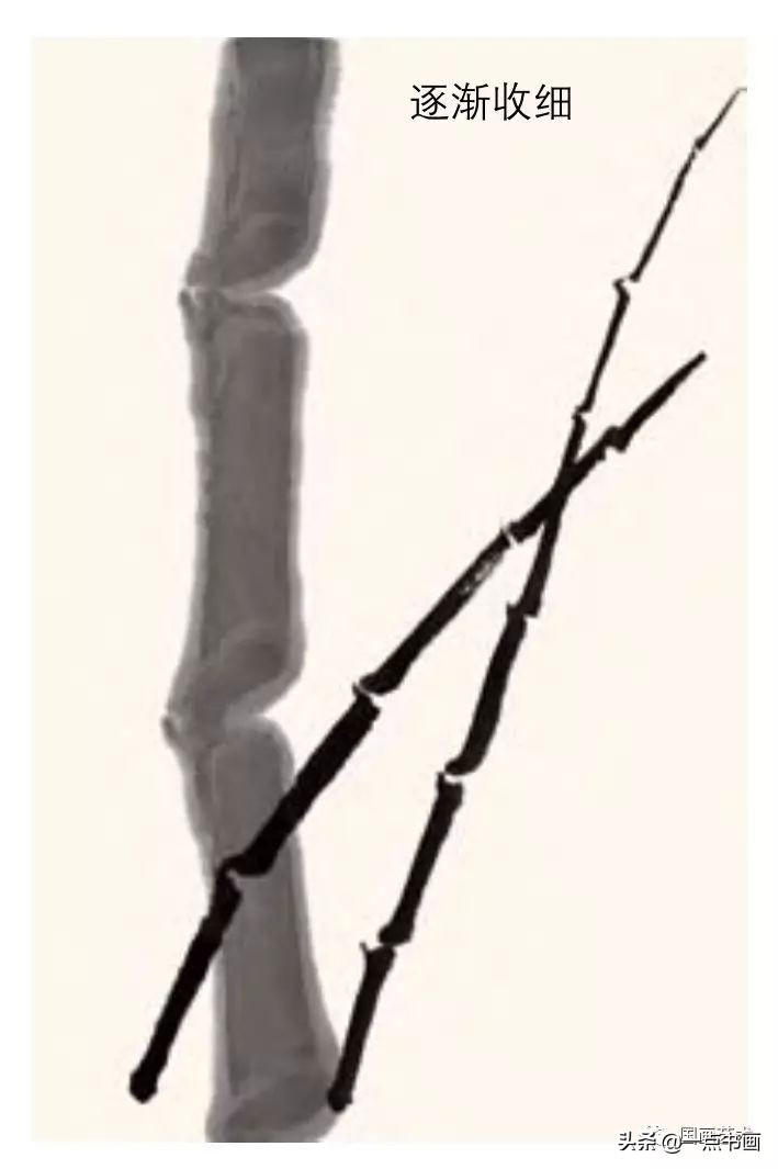 梅花画法教程,竹子画法教程