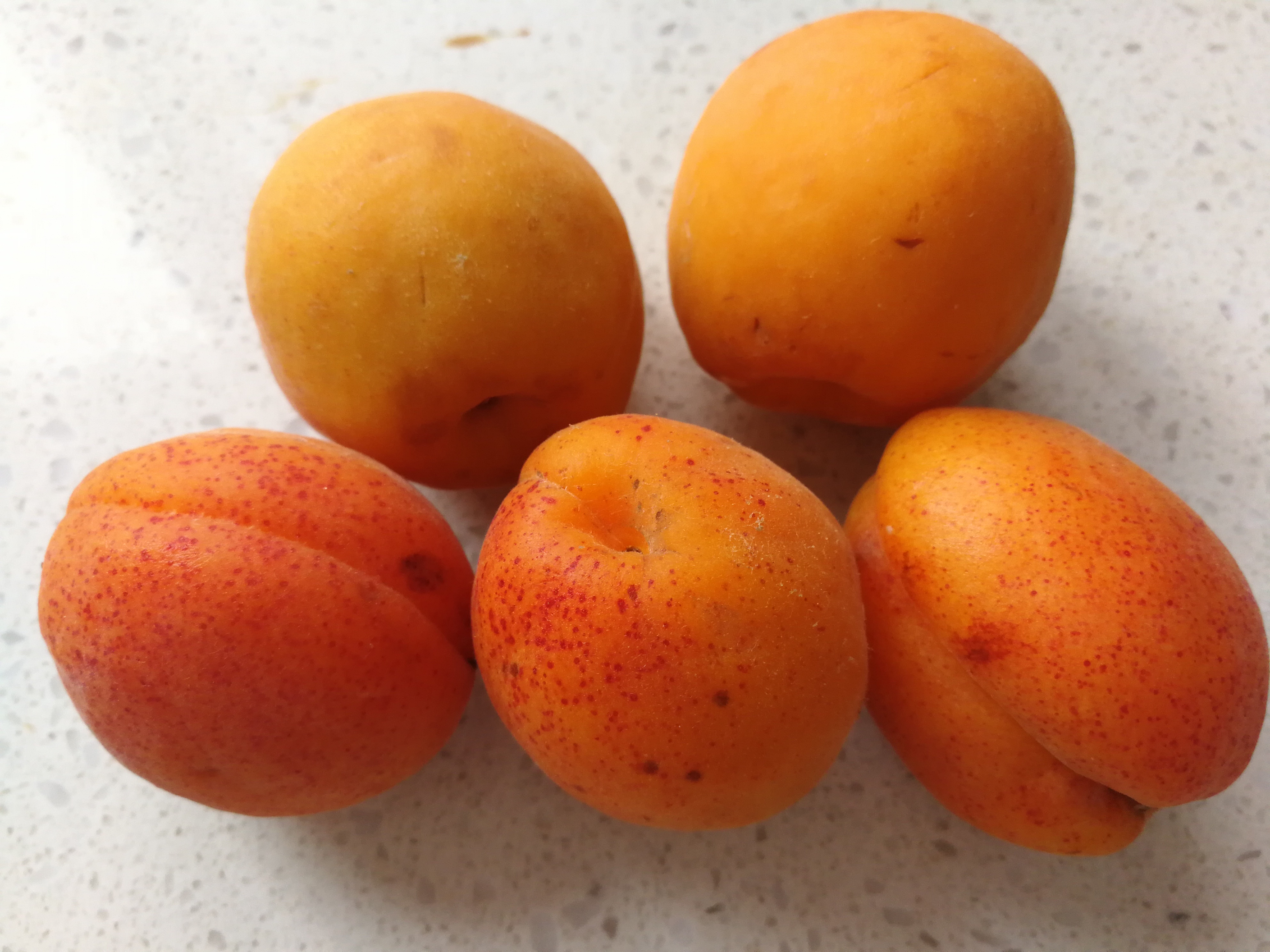 吃杏肉减肥吗,杏吃了可以减肥吗