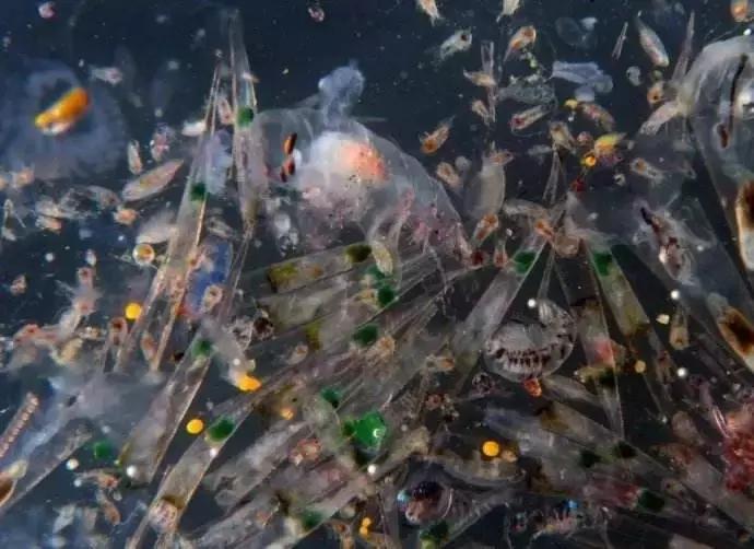 化妆品里竟然含有塑料？