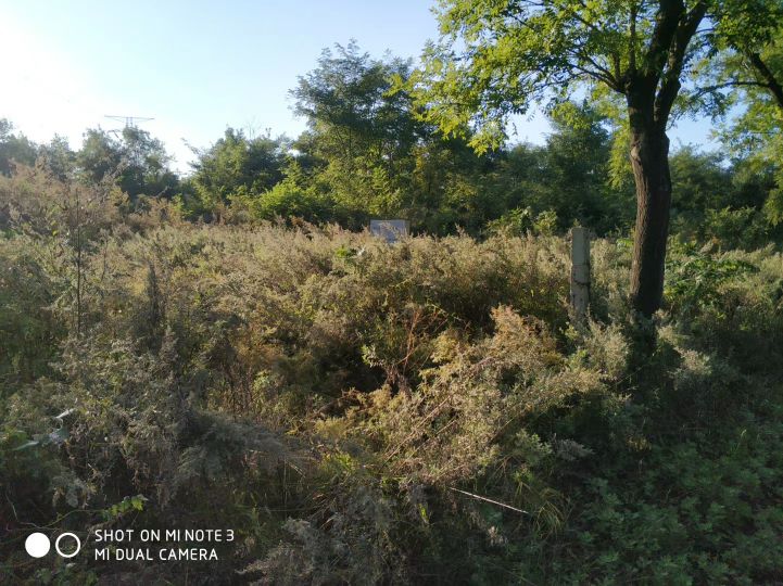 大连长兴岛长城,大连长城4s店