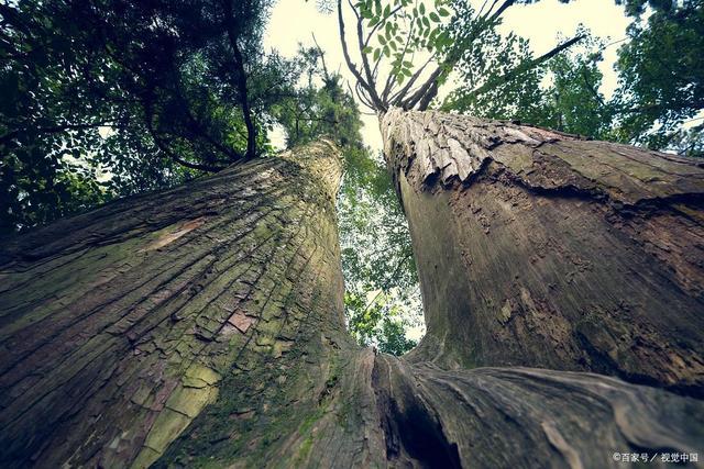 地之奇，天之眼，人间仙境！