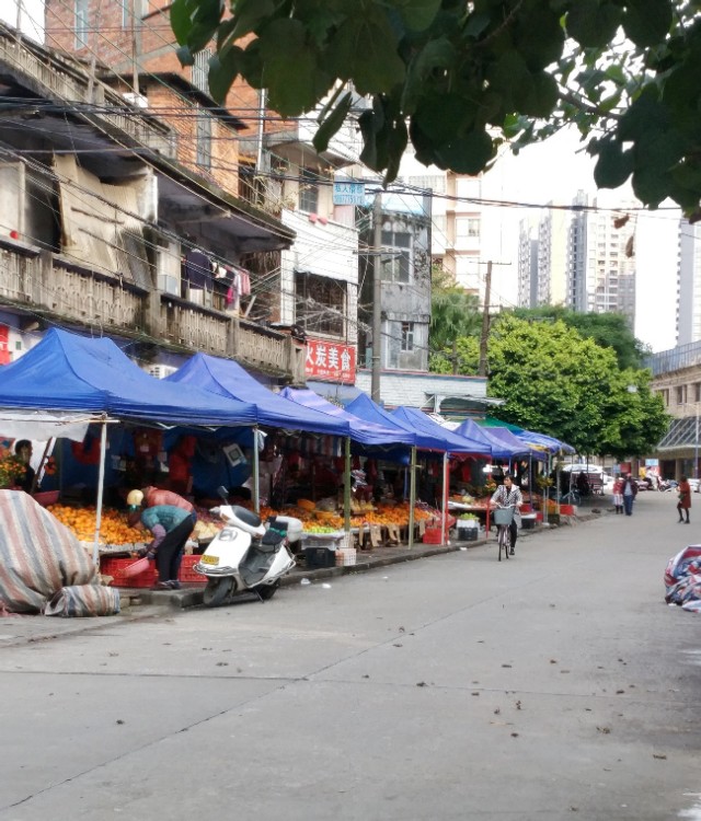 肺炎肆虐,谈虎色变,钦州怎么样?