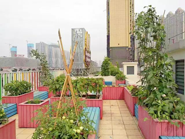 武汉幼儿园私立一般学费多少,武汉经外光合幼儿园学费