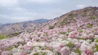 又一封辞职信火了，*疆新**人已传疯