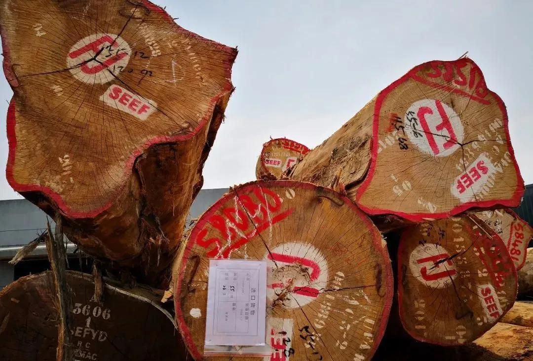 木皮染色材料视频,常见天然木皮