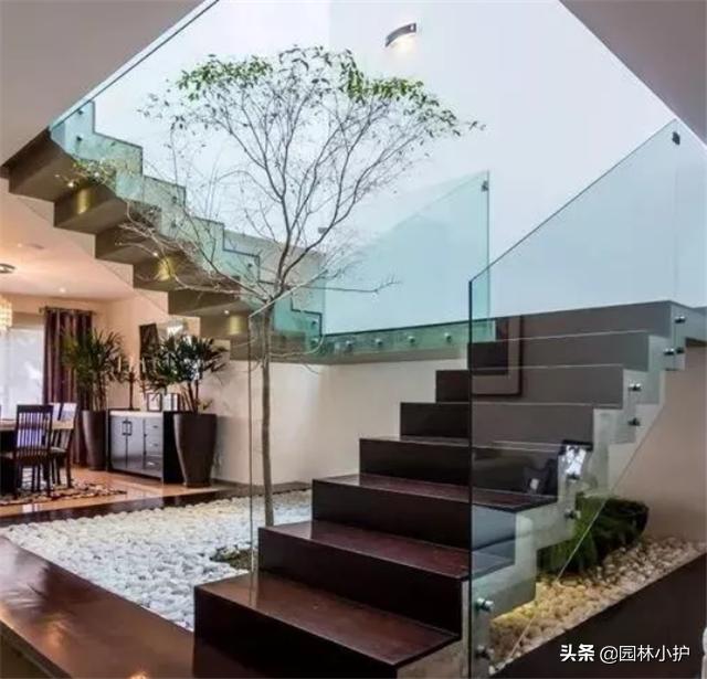 室内景观设计的基本步骤,极简风格室内小型景观设计