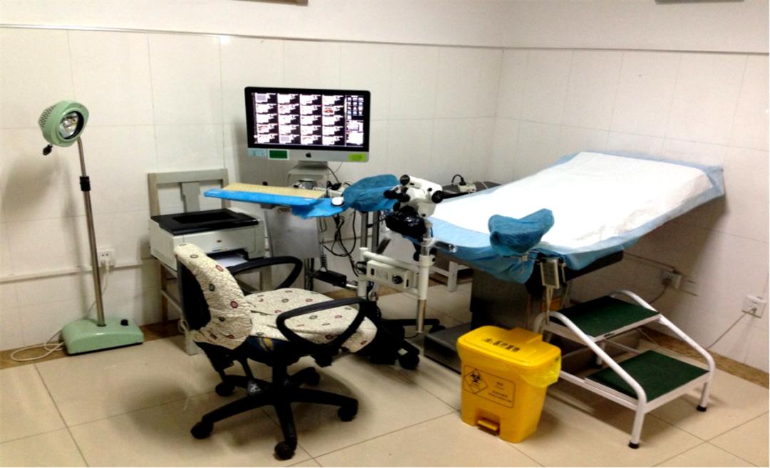 瀹涓撲笟闂ㄨ瘖,鏃ョ収甯備汉姘戝尰闄骇绉戝棰堢幆鎵庢湳