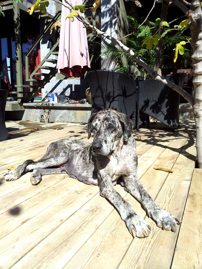 云南小众舒适的古城,云南小资街